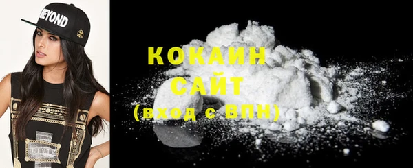 2c-b Бородино
