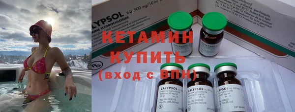 2c-b Бородино