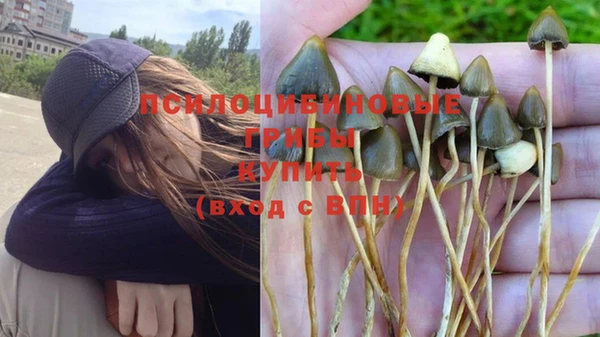 гашиш Бронницы